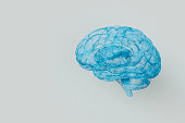3D Human Brain On White Background Neuron Wiring Mental Health