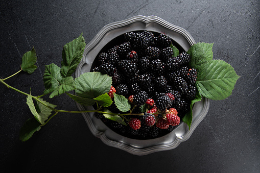 Tasty fresh blackberries ready to be enjoyed