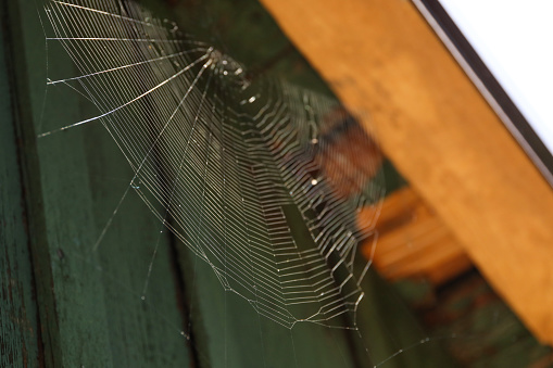 Cobweb on wooden building outdoors, low angle view