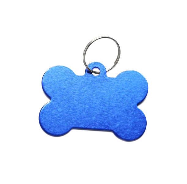 istock Blue metal bone shaped dog tag with ring isolated on white 1943217287