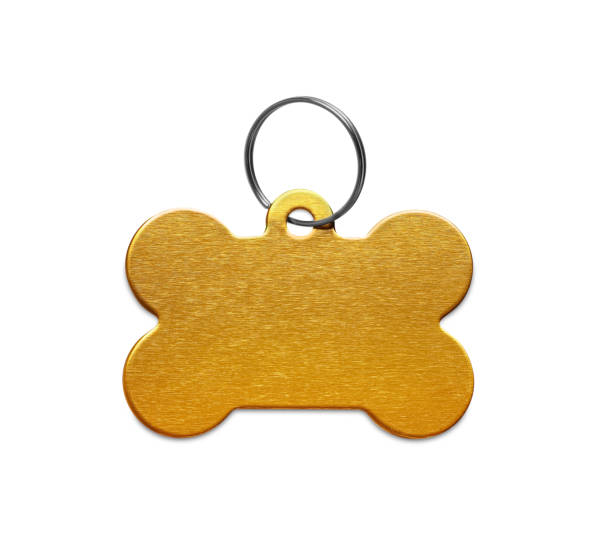 istock Golden metal bone shaped dog tag with ring isolated on white 1943217289