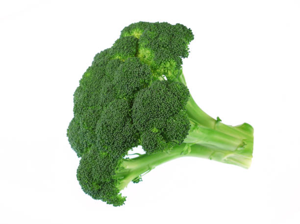 istock close up on fresh broccoli isolated on white background 1943230783