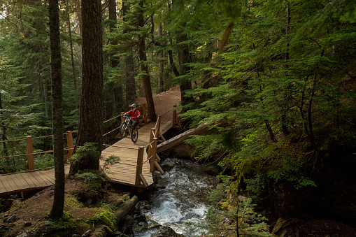 Mountain biker pops a wheelie on boardwalk in forest