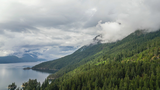 Aerial view of coastline and forest on moody day