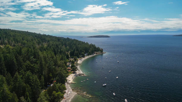 istock Aerial view of coastline and forest 1943277850