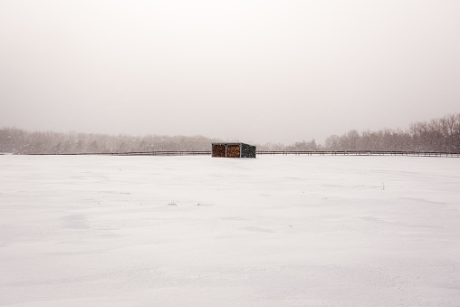 Snowy barn
