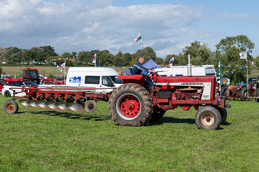 Drayton.Somerset.United kingdom.August 19th 2023.A Farmall 806 tractor is hooked up to a plough at a Yesterdays Farming event