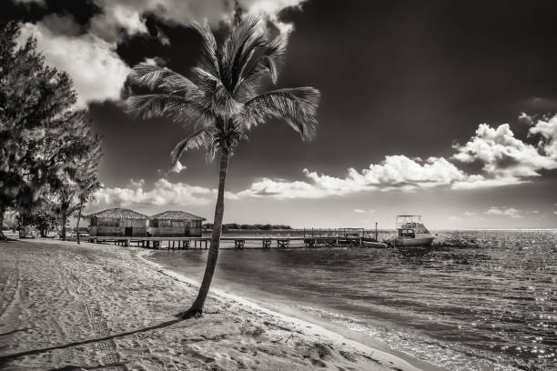 From Porto de Galinhas beach, Brazil