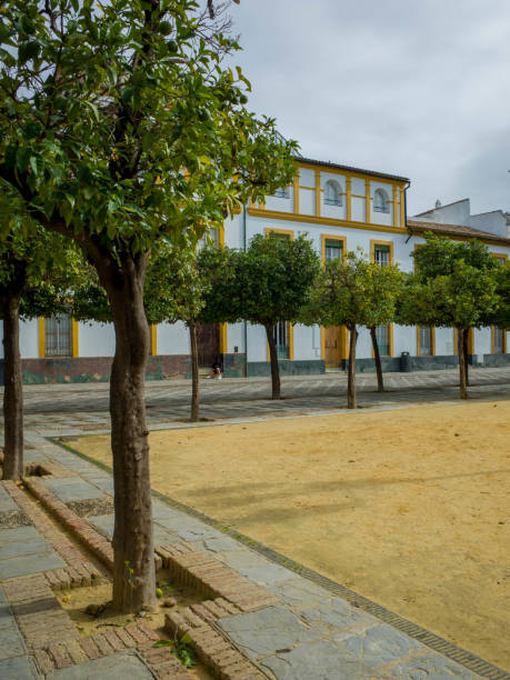 istock Patio de Banderas in Seville 1943319657