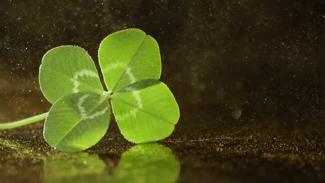Lucky four leaf clover with gold particles glittering in the air. Symbolizing luck, fortune, and prosperity.