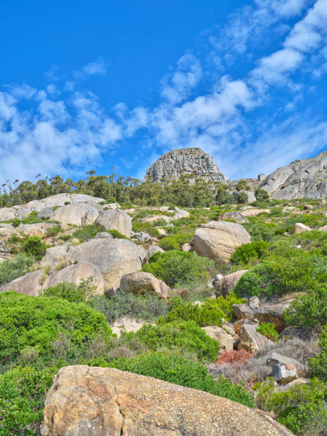 boulders and wilderness - and blue sky with clouds - straggling imagens e fotografias de stock