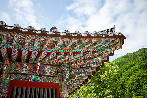 roof with dancheong pattern