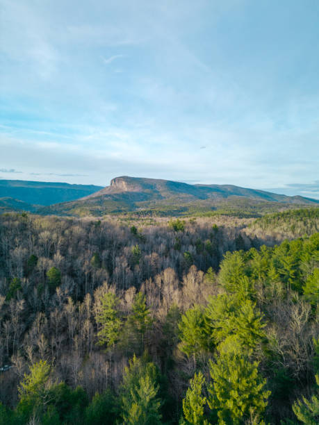 short off mountain - asheville, caroline du nord - smoky mountains - golden hour - appalachian trail dirt road footpath appalachian mountains photos et images de collection