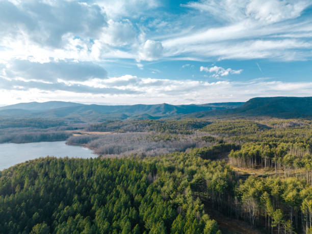 lago james - monti appalachi - asheville, carolina del nord - montagne fumose - evergreen - blue ridge mountains autumn great smoky mountains tree foto e immagini stock