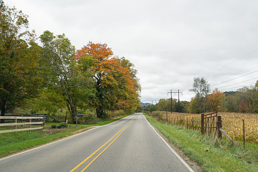 A stunning view to the road of autumn