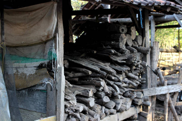 A pile of firewood arranged on a building in the countryside