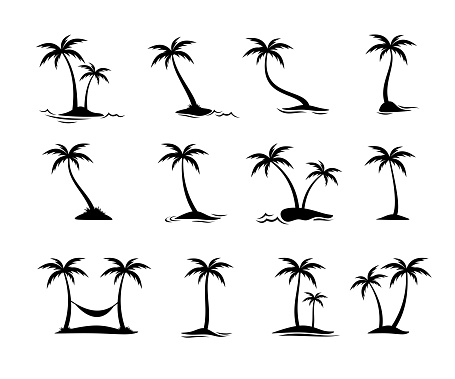 various coconut tree silhouette collection