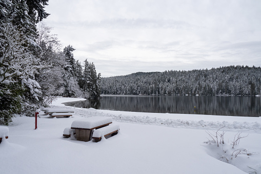 beautiful winter landscape in Belcarra regional park after a big snowstorm, Port Moody, BC, Canada