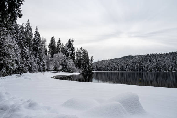 istock Belcarra regional park 1943733262