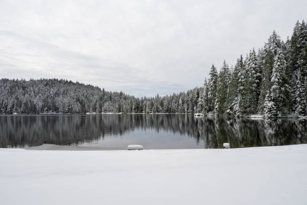 istock Belcarra regional park 1943733269