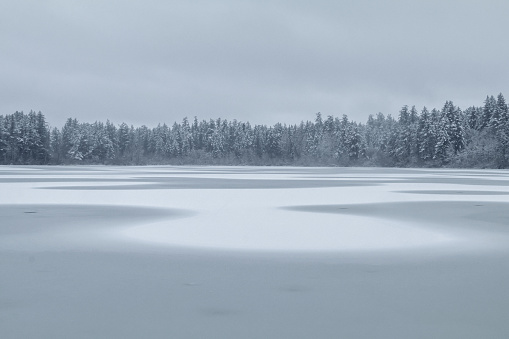 A snowy winter day at Beaver Lake Regional Park, located on southern Vancouver Island.