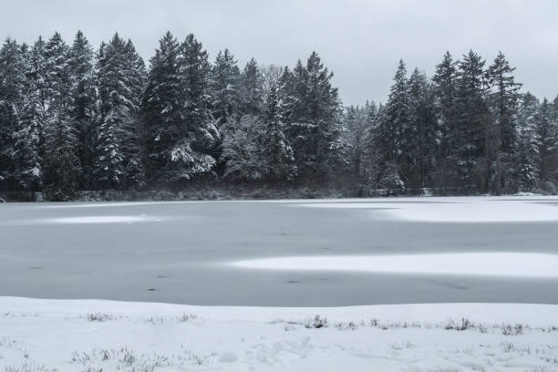 istock Snowy Landscape At Beaver Lake Regional Park 1943735236
