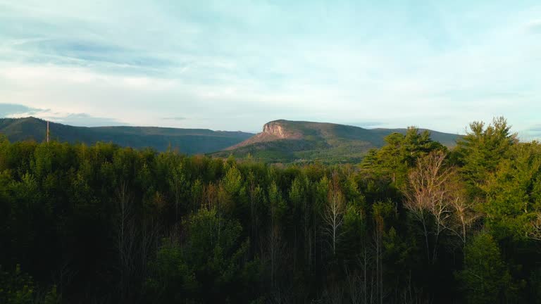 Evergreen - Short Off Mountain - Asheville North Carolina - Smoky Mountains - Panning - Golden Hour