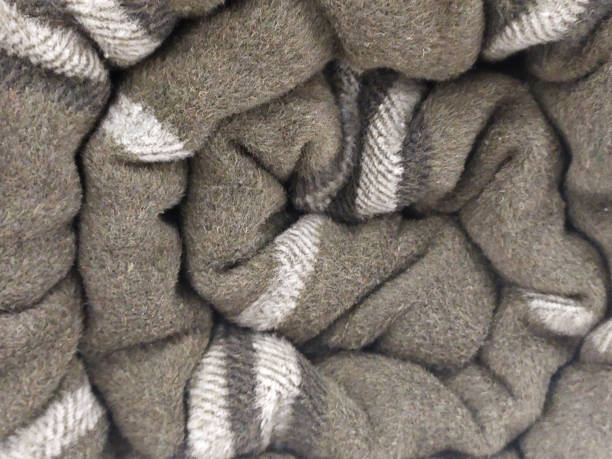 istock Comfy Plaid Blanket Rolled up on a shelf 1943824086