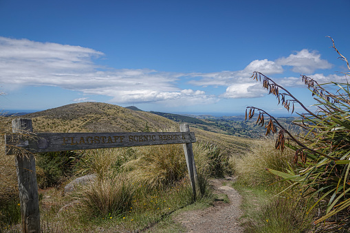 Flagstaff Scenic Reserve sign overlooking Dunedin City with hills and flax flowers