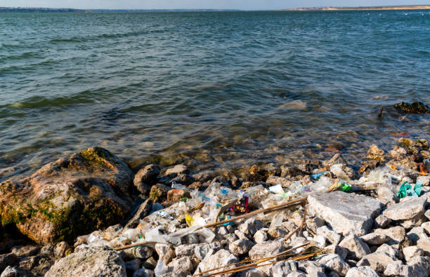 istock Plastic garbage and microplastics on the shore of Khadzhibey Estuary 1943836439