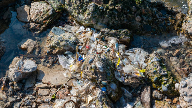 istock Plastic garbage and microplastics on the shore of Khadzhibey Estuary 1943836444