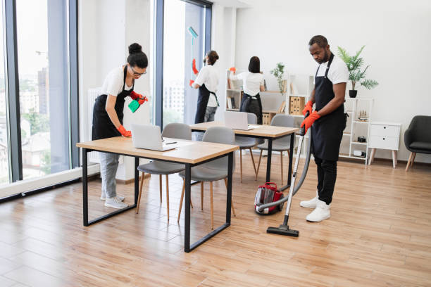 istock Team of young multicultural cleaners . 1943841345