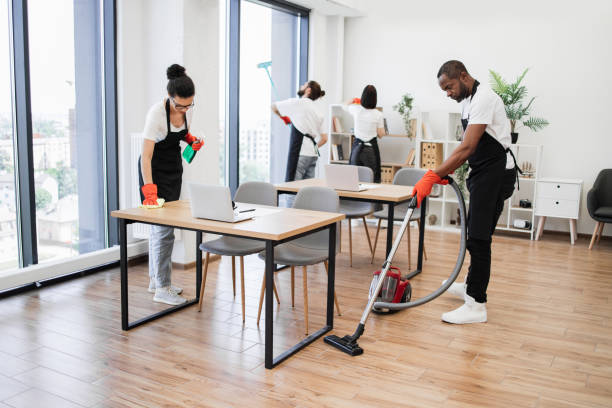 istock Team of young multicultural cleaners . 1943841346