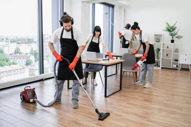 istock Professional cleaning company. 1943842416