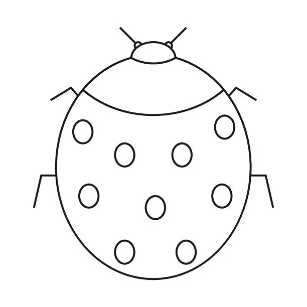 Vector illustration of ladybug icon vector
