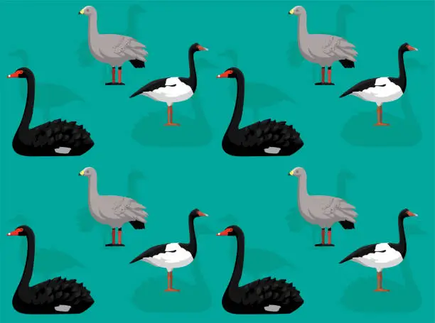 Vector illustration of Bird Magpie Goose Black Swan Australia Cartoon Cute Seamless Wallpaper Background