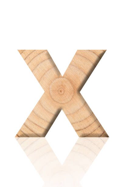 Close-up of three-dimensional tree ring alphabet letter X on white background.