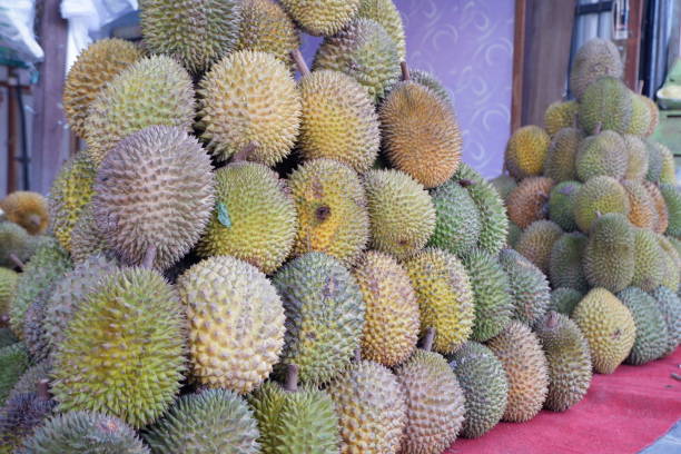 istock pile of durian fruit 1944053133