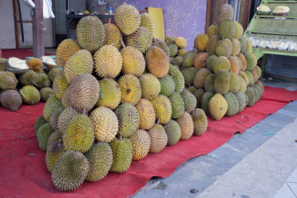 istock pile of durian fruit 1944053136