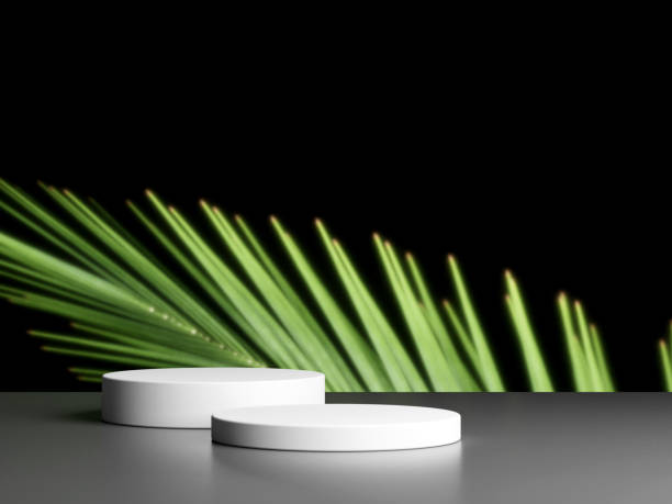 istock Blank podium with copy space and plant 1944112812