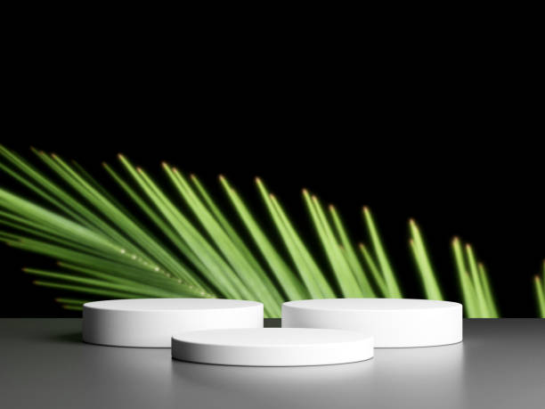 istock Blank podium with copy space and plant 1944113134