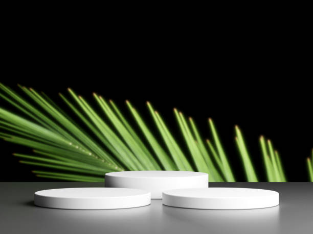 istock Blank podium with copy space and plant 1944113315