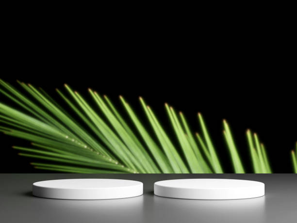 istock Blank podium with copy space and plant 1944113316