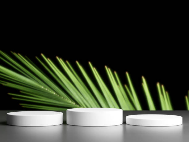 istock Blank podium with copy space and plant 1944113320