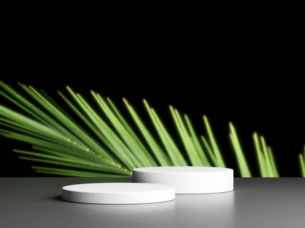 istock Blank podium with copy space and plant 1944113323