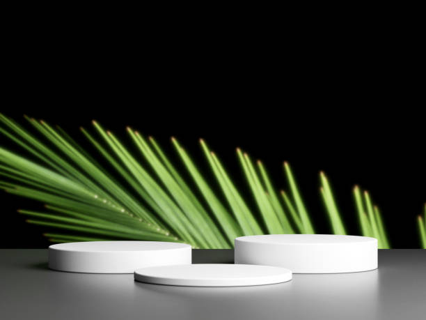 istock Blank podium with copy space and plant 1944113324