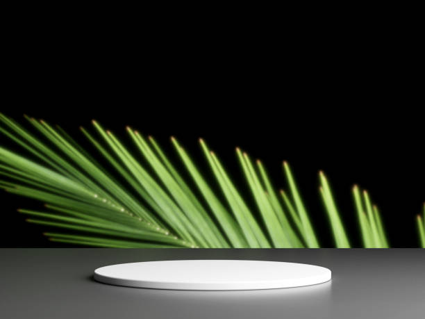 istock Blank podium with copy space and plant 1944113325