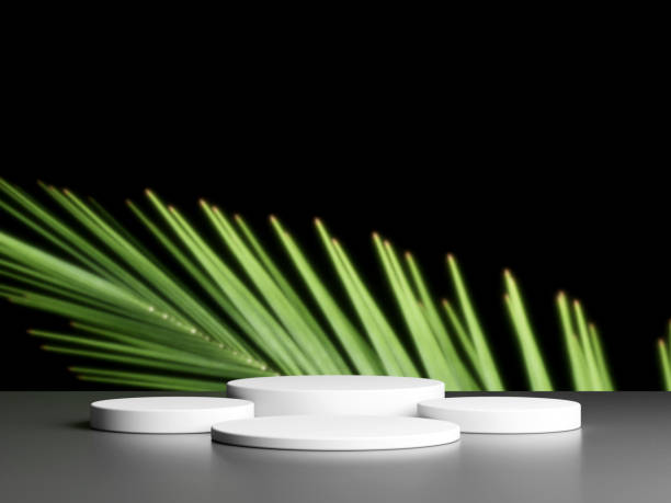 Blank podium with copy space and plant