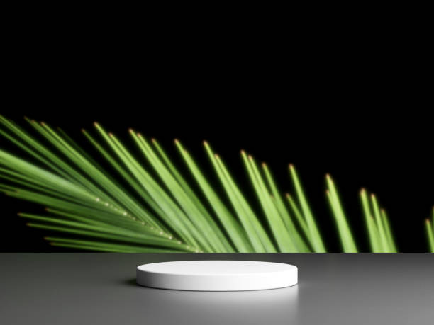 istock Blank podium with copy space and plant 1944113327