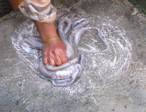 Cleaning Octopus
